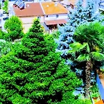 Sofia Πανσιόν 3*