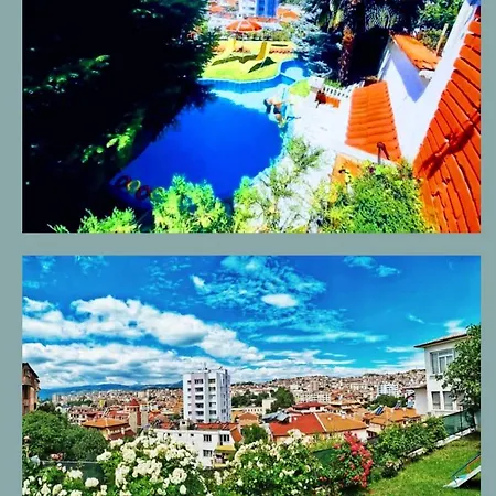 Sofia