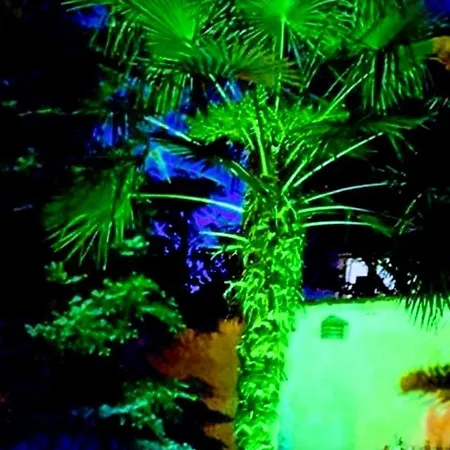 بيت ضيافة Sofia