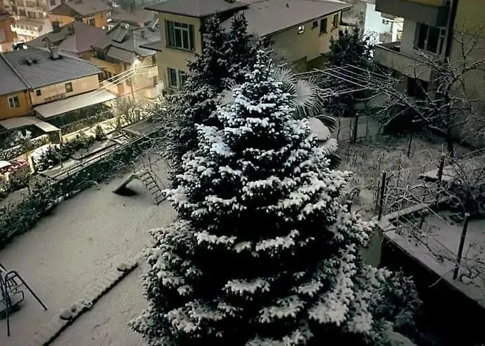 게스트하우스 Sofia 산단스키