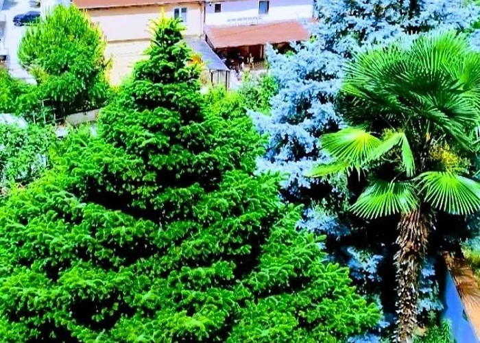 софия Къща за гости 3*